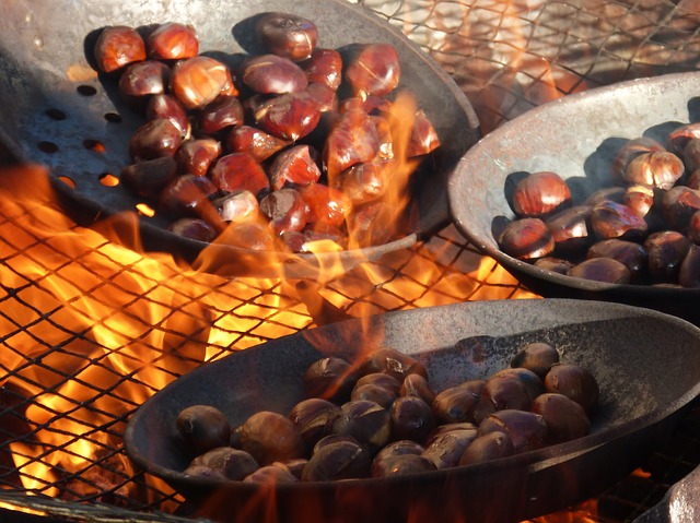 Chestnuts in Tuscany